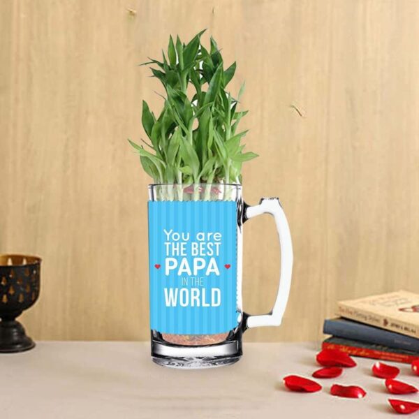 Lucky Bamboo Planter Indoor Plants_1 Tier Gifts For Father,Decorations Printed Quotes(You are the best papa in the