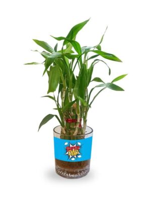 Lucky Bamboo Planter Indoor Plants_1 Tier Gifts For Father,Decorations Printed Quotes(You are the best papa in the