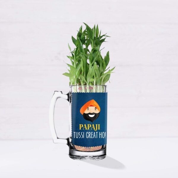 Lucky Bamboo Planter Indoor Plants_1 Tier with Printed Mug - You are The Best Daddy