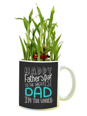 Happy Fathers 'day The Greatest Dad in The World Feng Shui Lucky Bamboo Plant Indoor Mug Planter Pot