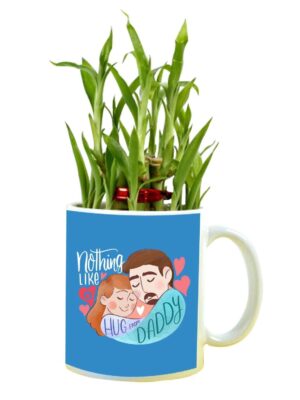 Nothing Like A Hug from Daddy Feng Shui Lucky Bamboo Plant Indoor Mug Planter Pot