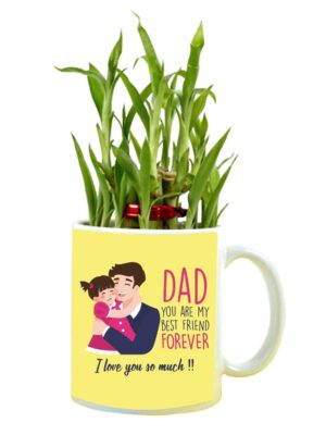 Daddy You are My Best Friend Forever Feng Shui Lucky Bamboo Plant Indoor Mug Planter Pot