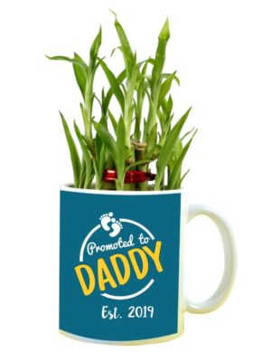 Promoted to Daddy Feng Shui Lucky Bamboo Plant Indoor Mug Planter Pot
