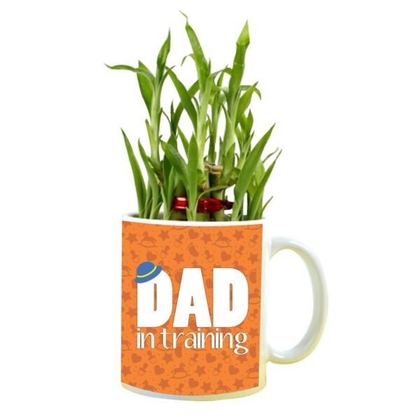 Dad in Training Feng Shui Lucky Bamboo Plant Indoor Mug Planter Pot