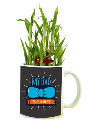 My Dad is The Best Feng Shui Lucky Bamboo Plant Indoor Mug Planter Pot