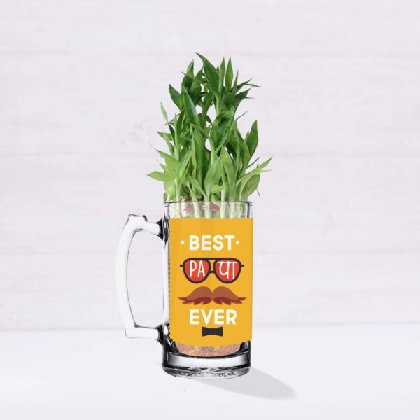 Lucky Bamboo Planter Indoor Plants_1 Tier with Printed Mug - You are The Best Daddy
