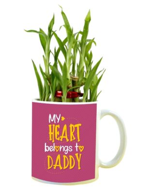 My Heart Belongs to Daddy Feng Shui Lucky Bamboo Plant Indoor Mug Planter Pot