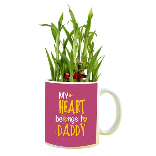 My Heart Belongs to Daddy Feng Shui Lucky Bamboo Plant Indoor Mug Planter Pot