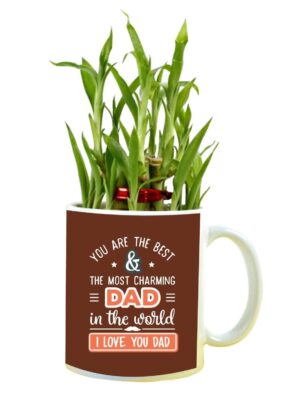 The Most Charming Dad in The World Feng Shui Lucky Bamboo Plant Indoor Mug Planter Pot