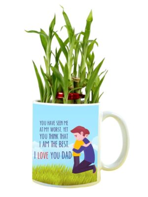 I Love You Dad Lucky Bamboo Planter with Mug Plants - 2 Layer Father's Day