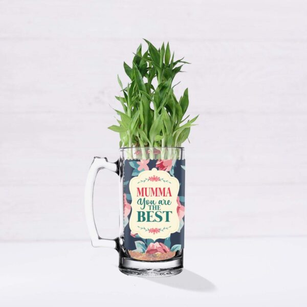 Lucky Bamboo Planter Indoor Plants_1 Tier with Printed Mug - You are The Best Daddy