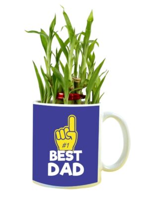 No. 1 Best Dad Feng Shui Lucky Bamboo Plant Indoor Mug Planter Pot