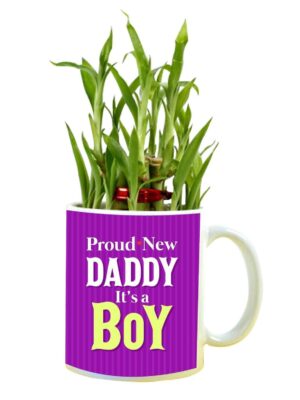 Proud Daddy It's a Boy Feng Shui Lucky Bamboo Plant Indoor Mug Planter Pot