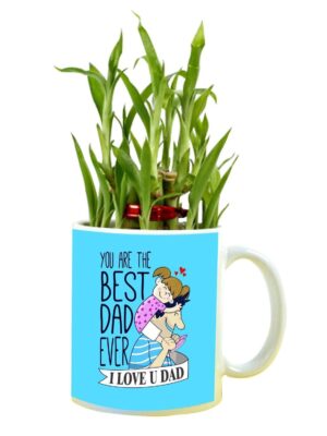 You are The Best Dad Ever Feng Shui Lucky Bamboo Plant Indoor Mug Planter Pot