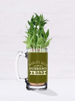 Lucky Bamboo Planter Indoor Plants_1 Tier with Printed Mug - Worlds Best Husband and Dad