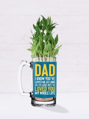 Lucky Bamboo Planter Indoor Plants_1 Tier with Printed Mug - You are The Best Daddy