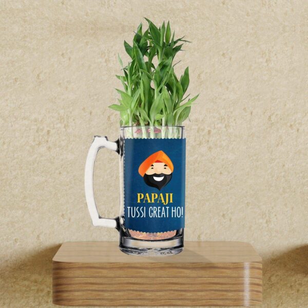 Lucky Bamboo Planter Indoor Plants_1 Tier with Printed Mug - You are The Best Daddy