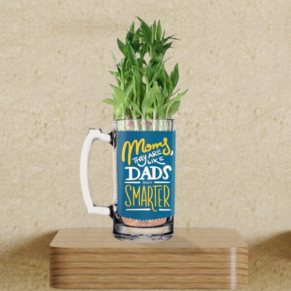 Lucky Bamboo Planter Indoor Plants_1 Tier with Printed Mug - You are The Best Daddy