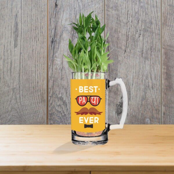 Lucky Bamboo Planter Indoor Plants_1 Tier with Printed Mug - You are The Best Daddy