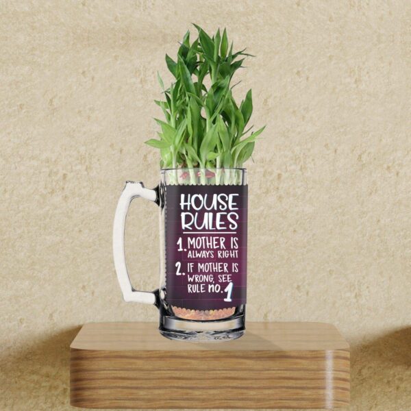 Lucky Bamboo Planter Indoor Plants_1 Tier with Printed Mug - You are The Best Daddy