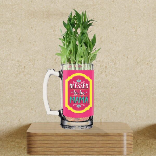 Lucky Bamboo Planter Indoor Plants_1 Tier with Printed Mug - You are The Best Daddy