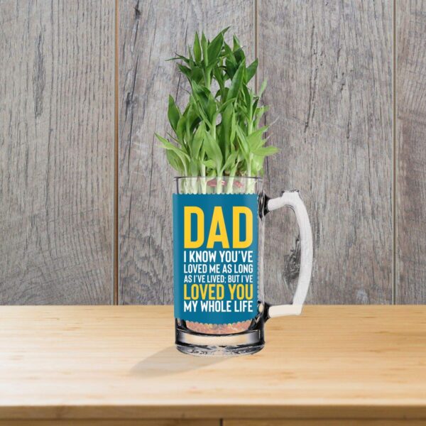 Lucky Bamboo Planter Indoor Plants_1 Tier with Printed Mug - You are The Best Daddy