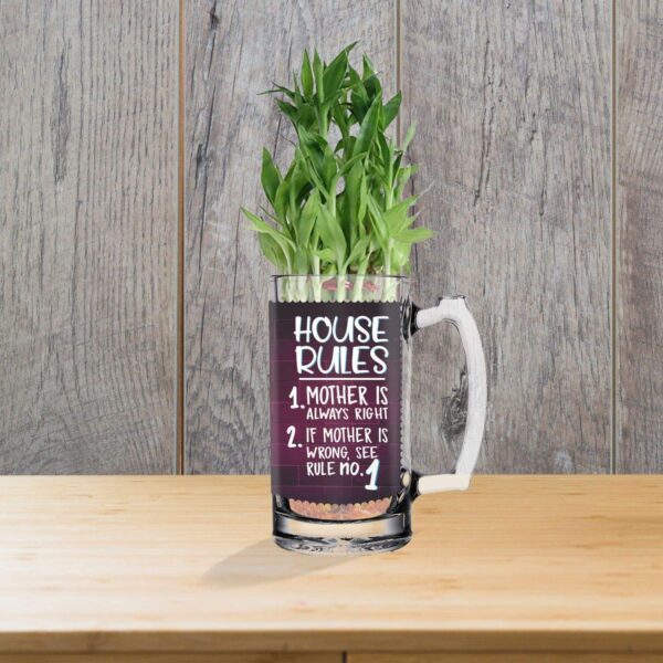 Lucky Bamboo Planter Indoor Plants_1 Tier with Printed Mug - You are The Best Daddy