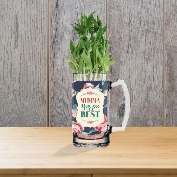 Lucky Bamboo Planter Indoor Plants_1 Tier with Printed Mug - You are The Best Daddy