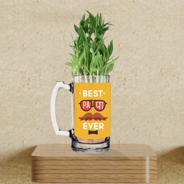 Lucky Bamboo Planter Indoor Plants_1 Tier with Printed Mug - You are The Best Daddy