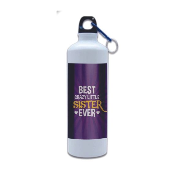 Best Crazy Little Sister Ever Sipper Water Bottle