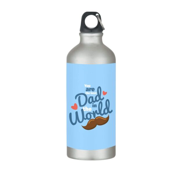 TheYaYaCafe You are The Best Dad in The World Stainless Steel Sipper Water Bottle