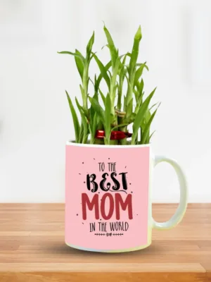 To the Best Mom in The world Bamboo Planter