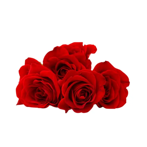 Valentine Gifts I Can't Share You Coffee Mug & Bunch Of Roses
