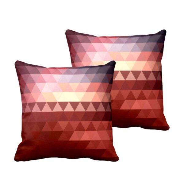 Delicately Abstract Cushion Cover Set of 2 24X24 inches