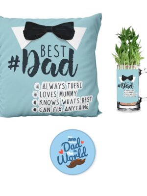 Planter  Hamper Set of 3 for Best Dad