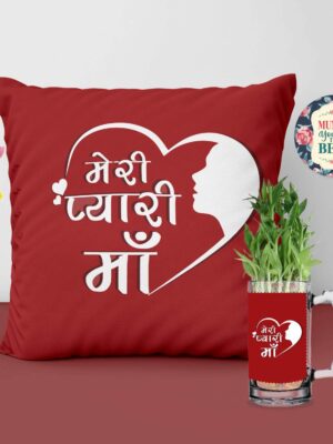 Mug Planter with 2 Layer Bamboo Plants, , Fridge Magnet Hamper Combo - Meri Pyaari Maa Gifts for Mom Cushion Cover